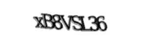 Security check image, please type the characters shown